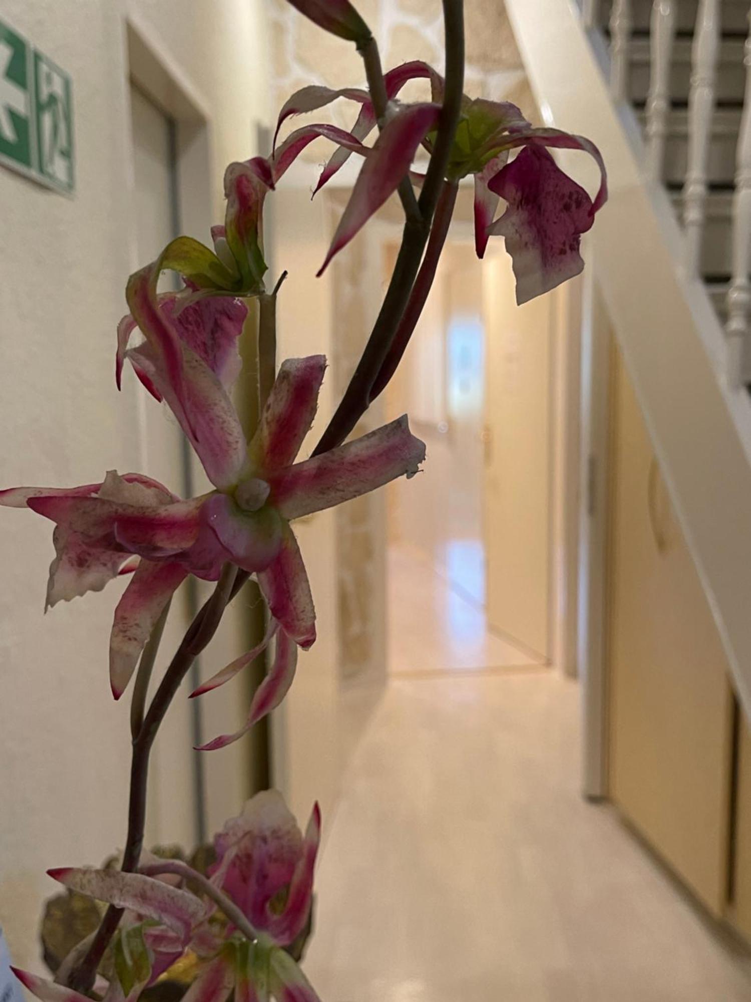 Vital Hotel